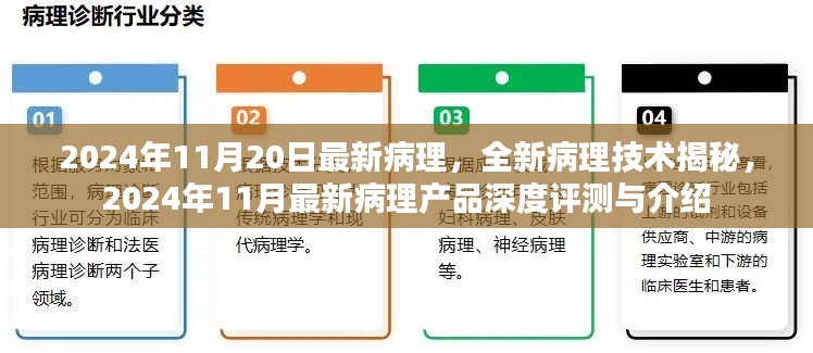 揭秘全新病理技术，深度评测与介绍最新病理产品，2024年11月报告
