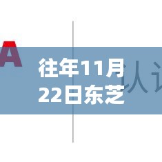 东芝泰格工厂招聘现象深度解读，聚焦观点与争议，揭秘历年招聘盛况背后的真相
