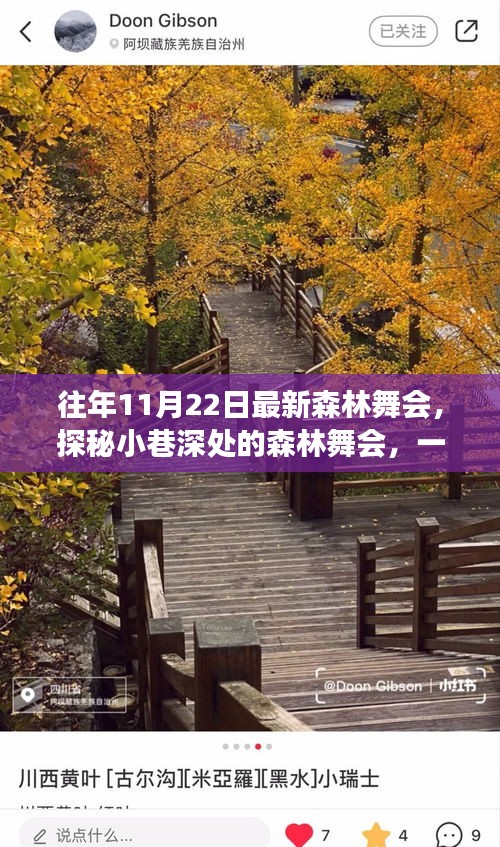 探秘森林舞会，自然与狂欢的交融盛宴在11月22日上演