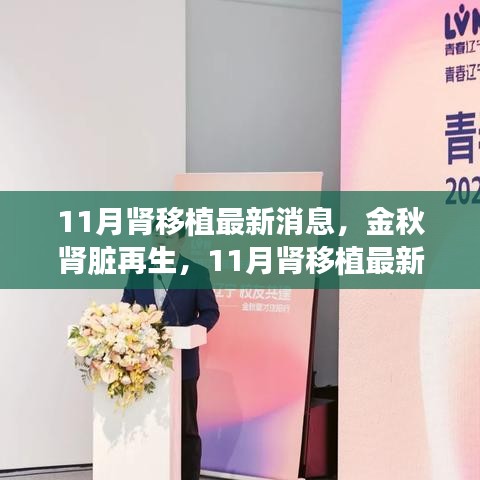 金秋肾脏再生，全面解读11月肾移植最新消息