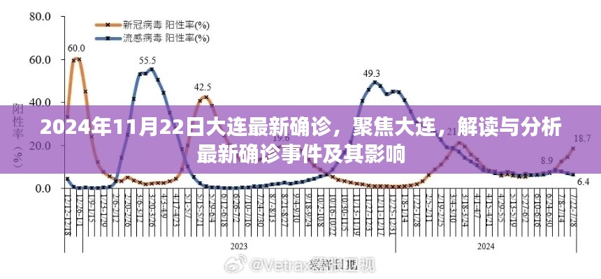 聚焦大连，解读与分析最新确诊事件及其影响，2024年11月22日