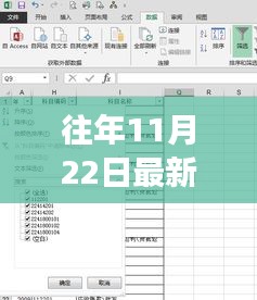 往年11月22日最新空白代码，开启编程世界新起点之旅