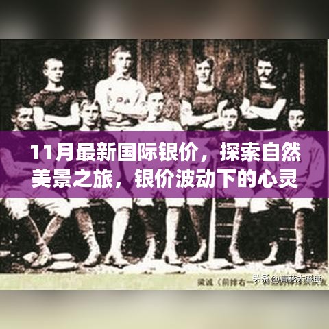 银价波动下的自然美景探索与心灵宁静之旅，11月最新国际银价报告