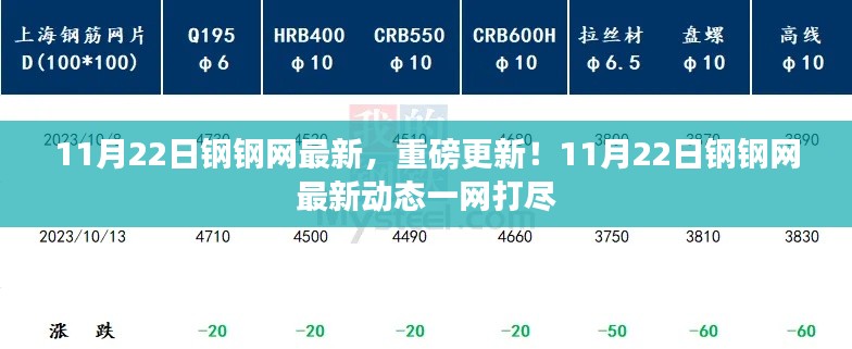 11月22日钢钢网最新动态，重磅更新全面解析