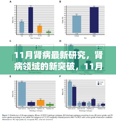 11月肾病领域新突破，最新研究进展概览