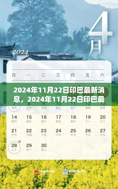 印巴关系最新进展与前景分析，2024年11月22日最新消息速递