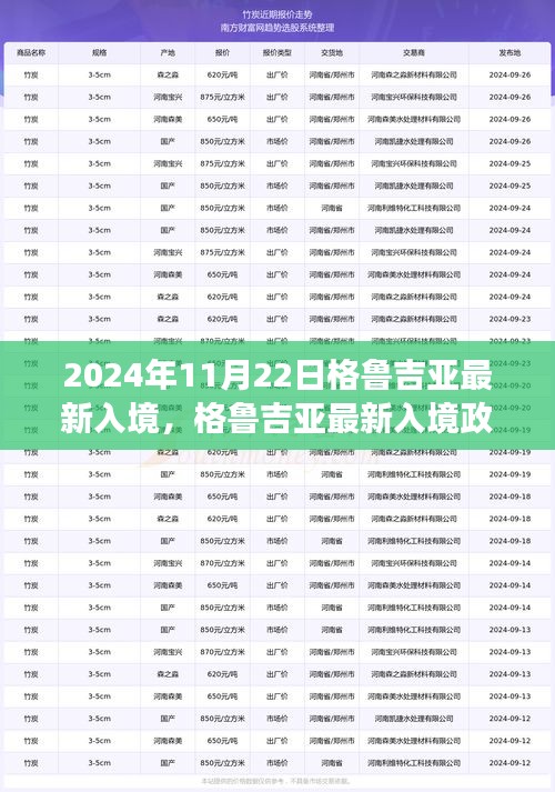 格鲁吉亚最新入境政策解读与观点分析（2024年11月22日）