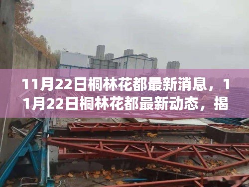 揭秘，桐林花都最新动态与发展热点（11月22日更新）