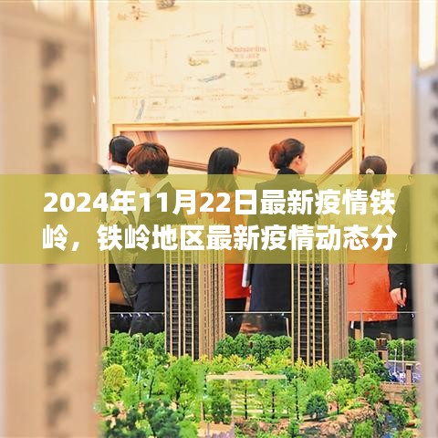 2024年11月22日铁岭地区最新疫情动态分析报告