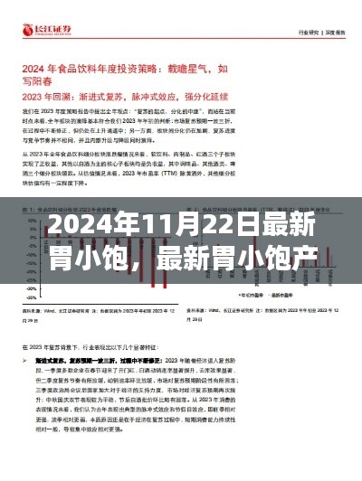 最新胃小饱产品深度解析与观点阐述