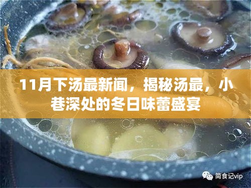 揭秘汤最，小巷深处的冬日味蕾盛宴，11月最新美食新闻