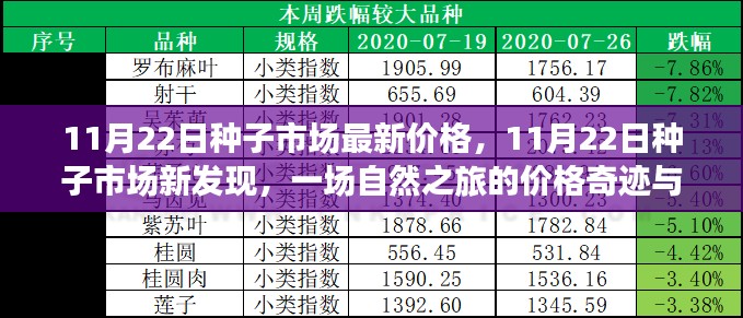 11月22日种子市场，价格奇迹与心灵静谧的自然之旅探索