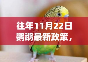 鹦鹉保护与发展，解读往年11月22日最新政策动态