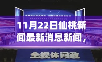 仙桃发展综述及最新消息，11月22日新闻速递