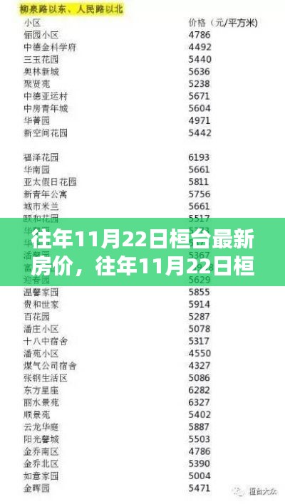 往年11月22日桓台最新房价深度解析，特性、体验、竞品对比与用户群体分析