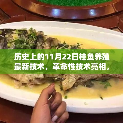 革命性桂鱼养殖技术亮相，重塑水生生态体验的未来，历史上的11月22日最新科技揭秘