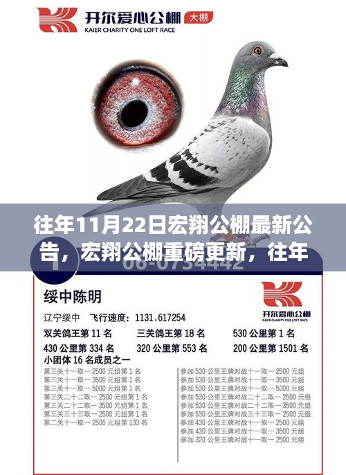 宏翔公棚最新公告详解，重磅更新与往年11月22日动态回顾