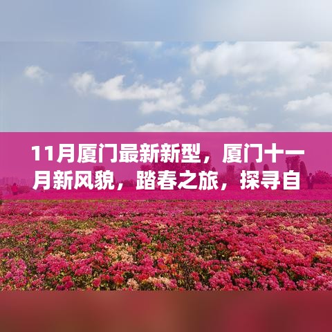 厦门十一月新风貌，踏春探寻自然美景与内心宁静之旅