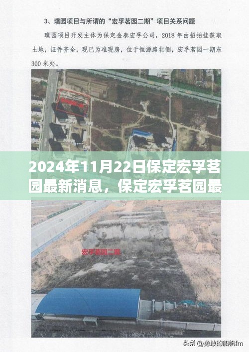 2024年保定宏孚茗园最新动态及参观指南，体验步骤详解