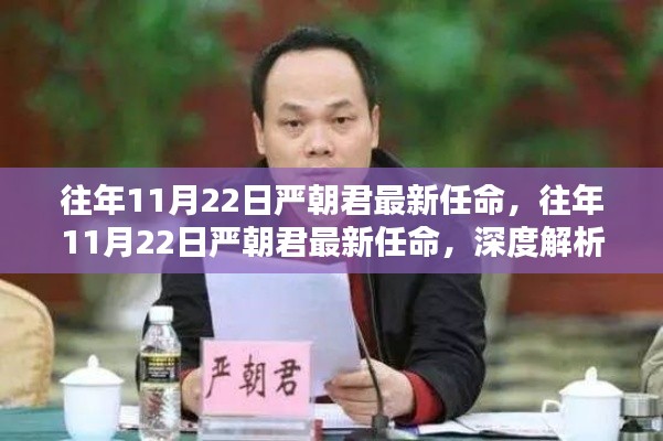 严朝君最新任命揭晓，深度解析与观点阐述