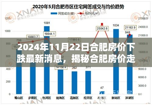 揭秘合肥房价走势，最新消息与应对策略指南