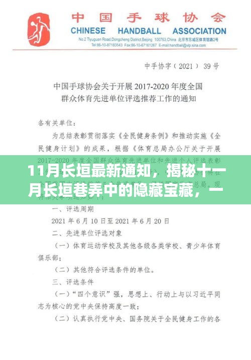 揭秘十一月长垣巷弄中的隐藏宝藏，独特小巷特色小店新鲜出炉