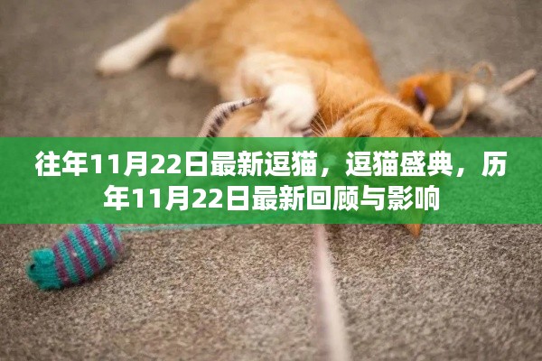 历年11月22日逗猫盛典回顾与最新动态聚焦