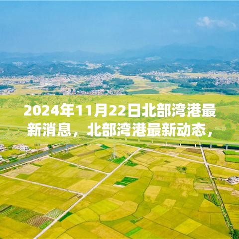 2024年11月22日北部湾港的最新消息与发展动态