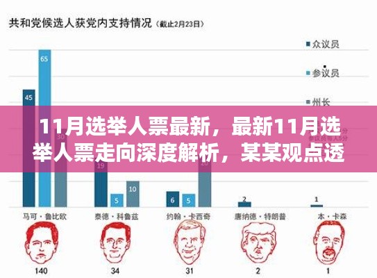 最新11月选举人票动态，深度解析与某某观点透视