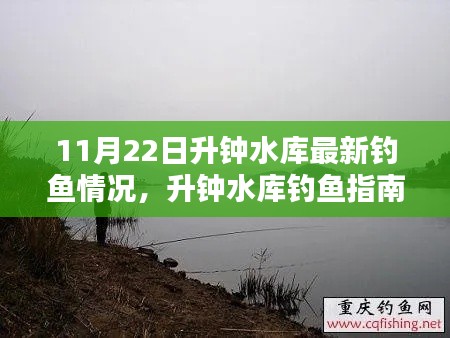 升钟水库钓鱼指南，最新钓鱼情况解析（11月22日版）