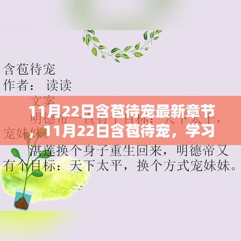 11月22日含苞待宠，自信成就的花朵正在绽放