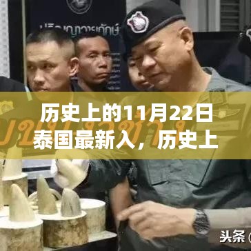 探寻泰国最新入境政策变迁之旅，历史上的11月22日回顾与前瞻