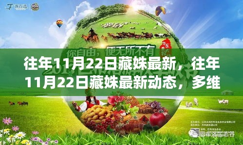 多维度视角下的观点碰撞与个人立场，往年11月22日藏姝最新动态分析