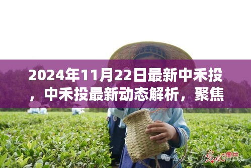 聚焦中禾投最新动态，行业前沿深度解析