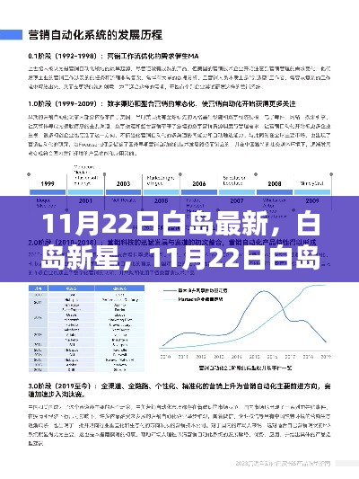 11月22日白岛新星产品全面评测与介绍，探索白岛最新动态
