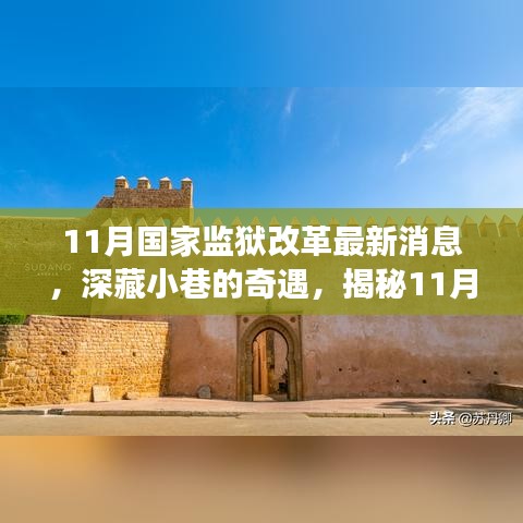 司空见惯 第5页