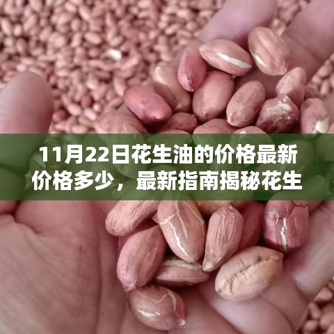 揭秘花生油最新价格走势，11月22日花生油最新价格指南及查询方法