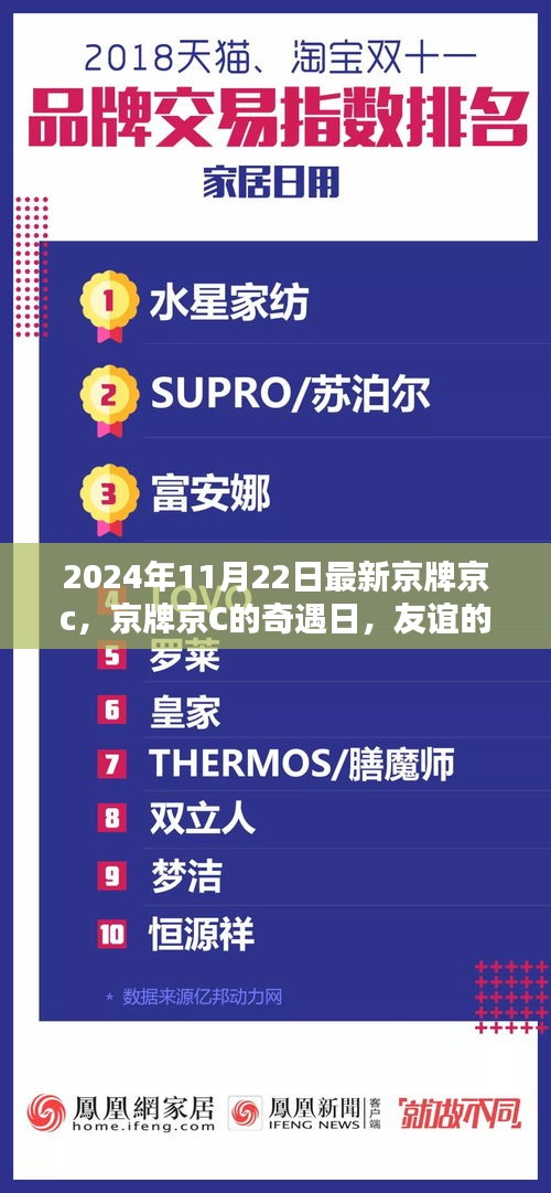京牌京C奇遇日，友谊纽带与温馨日常的见证（2024年11月22日）