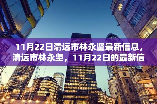 清远市林永坚最新信息揭秘，11月22日动态及深远影响分析