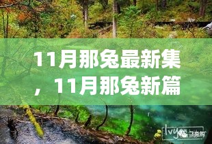 11月那兔新篇章，自然美景的心灵之旅，寻找内心的宁静与平和