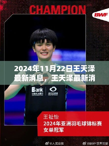 2024年王天泽最新消息获取指南，初学者与进阶用户适用