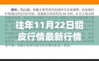 貂皮行情变迁与自我价值的跃升，学习引领自信与成就之路