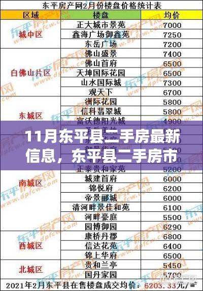 东平县二手房市场十一月深度观察，最新动态与领域地位揭秘
