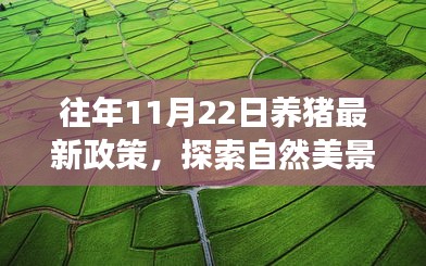 往年养猪新政策下的自然美景探索与心灵之旅，宁静时光之旅启航