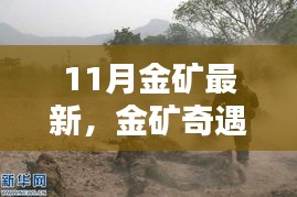 十一月金矿奇遇，金色温情的探寻