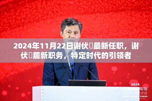 谢伏曕履新职务，特定时代的引领者（最新消息发布于2024年11月22日）