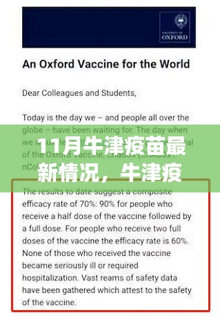牛津疫苗最新进展深度解析与观点阐述，11月最新情况揭秘