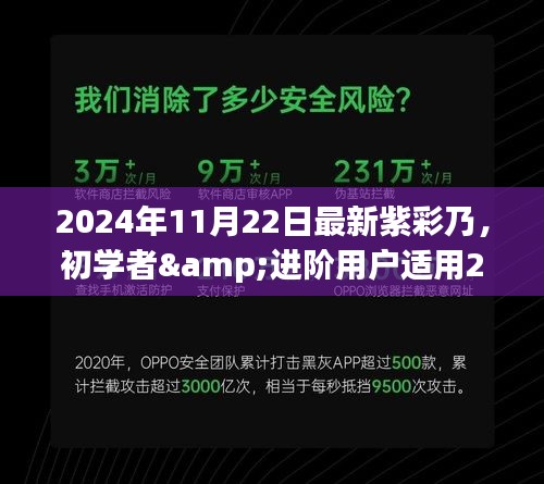 2024年11月22日最新紫彩乃，初学者&进阶用户适用2024年11月22日最新紫彩乃操作指南