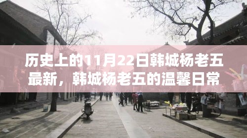 韩城杨老五，11月22日的温馨日常与特别时光