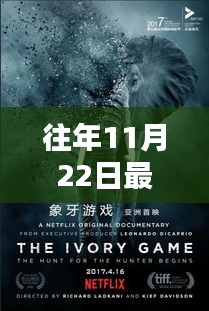 历年11月22日人与动物电影深度回顾，光影共舞生命之歌